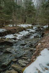 Poster - Stream flowing through snow-covered forest on hillside