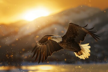 Canvas Print - Majestic bald eagle soaring above a serene body of water. Ideal for nature and wildlife concepts