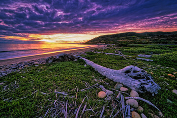 Wall Mural - Emma Woods State Park in Ventura, California