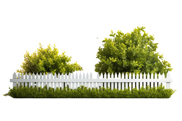 Poster - Lush Garden Bushes Isolated on Transparent Background, PNG, Cut Out.