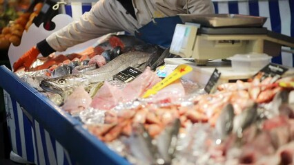 Wall Mural - Fresh fish and seafood on farmer market in Paris, France. Typical European fish market.