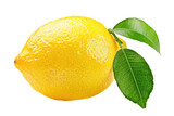 yellow lemon fruit with leaf isolated on white or transparent png