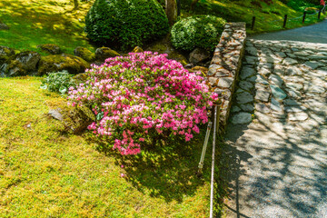 Sticker - Pink Flowers And Walkway