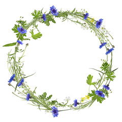 Wall Mural - Wreath of beautiful wild flowers isolated on white