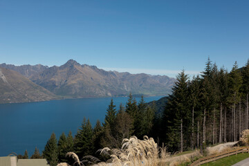 Wall Mural - New Zealand lake landscape on the South Island.