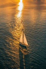 Wall Mural - aerial view captures a sailboat with billowing white sails gliding through the ocean bay, accompanied by seabirds
