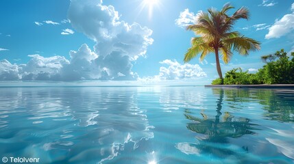 Wall Mural - a palm tree reflected in a calm pool of water, with clear blue skies and fluffy white clouds creatin