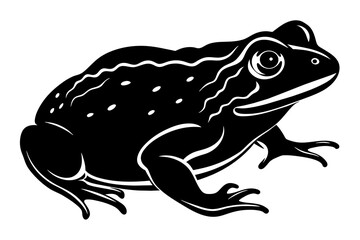 Wall Mural - toad vector silhouette illustration