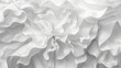 © Mikus - A monochrome image of a large, ruffled white fabric piece resembling a wallpaper ornament