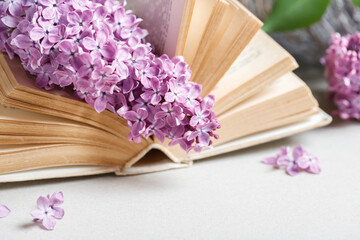 Wall Mural - Old book and lilac flower.