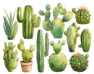 Wall Mural - Watercolor cacti set on white