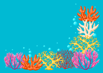 Background with sea corals. Marine life aquarium and water fauna.