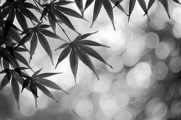 Poster - Green leaves on tree with blurred background