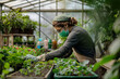 © Silga - A woman with protective gear working in a greenhouse on some green plants, themes of gardening and growing our own food, self sustained living.