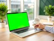 © Shoraoddi_Hossain - laptop with green screen