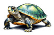 © ZADpro - Beautiful painting and illustration  of a cool and beautiful and funny turtle