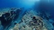 © Nawarit - An underwater view of the MidAtlantic Ridge, where tectonic plates are spreading apart,