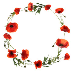wreath of beautiful wild flowers isolated on white