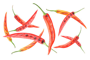 Wall Mural - Grilled chili peppers in air on white background