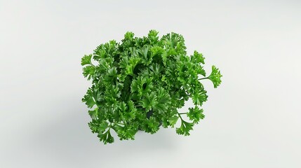 Wall Mural - Fresh green vegan vitamin parsley isolated on white background : Generative AI