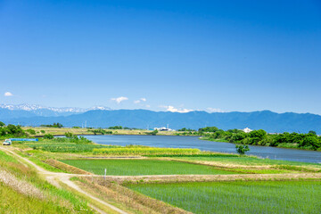 Wall Mural - 新潟県　信濃川と水田　粟ケ岳を望む