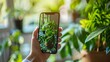 © Justlight - A person holding their phone as they use the augmented reality plant care app to scan their indoor plant.