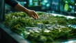 © Summit Art Creations - An urban planner interacts with a detailed city model, focusing on sustainable development and green spaces. AIG41