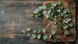 © furyon - minimalist flat lay with eucalyptus leaves on rustic wooden board top view stock photo