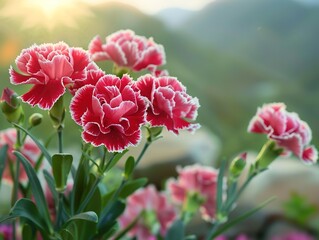 Wall Mural - Vibrant Bouquet of Red Carnations with White Edges Blooming in the Sun. Surrounded by Green Leaves and Distant Mountains with a Warm, Soft Light Atmosphere. Detailed Closeup of Delicate Petals and Vib