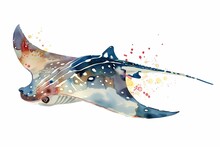 Watercolor Art. Illustration Of A Stingray