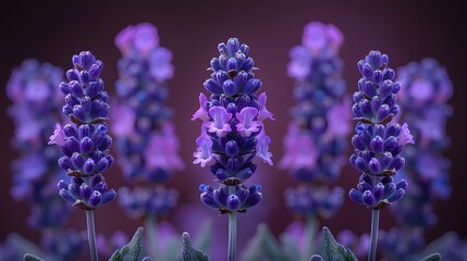 Wall Mural - Close-up of lavender flowers, focusing on the delicate purple petals and the subtle texture of the flower spikes. List of Art Media Photograph inspired by Spring magazine