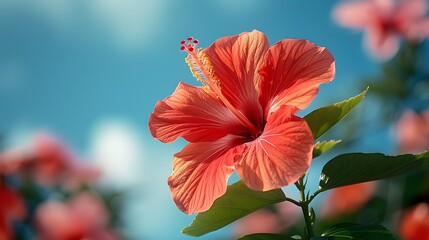 Wall Mural - A beautiful red hibiscus flower set against a bright blue sky, creating a striking contrast that emphasizes its vivid color. List of Art Media Photograph inspired by Spring magazine