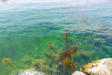 Wall Mural - Shukunegi Coast, Sado Island, Japan, Sado-Yahiko-Yoneyama Quasi-National Park