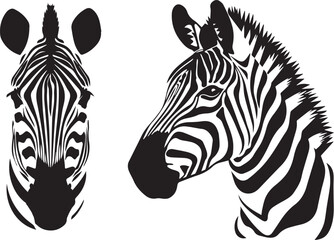 Wall Mural - Graphic set of zebra on white background,