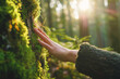 © Duka Mer - A closeup view shows a hand touching a moss-covered tree trunk in a forest, with sunlight filtering through the trees.