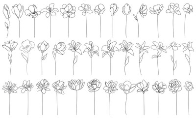 Wall Mural - Flowers Line Art Vector Illustrations Set for Prints, Social Media, Icons. Floral Trendy Templates Minimalist Style. Set of Abstract Flowers in Line Style. Hand Drawn Doodle Template Collection