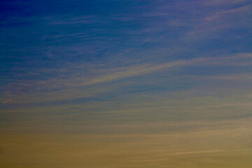 Wall Mural - Cirrus clouds in the sunset sky. Long, smooth clouds are colored yellow-green against the blue sky during sunset.