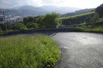 Sticker - Vegetation in an urban park close to Bilbao