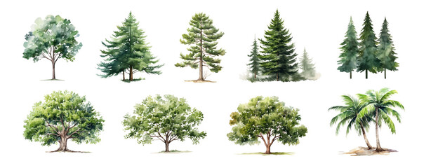 Poster - Watercolor tree png element set on transparent background