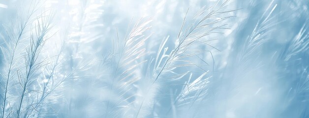 Canvas Print - Ethereal Blue Feathers in Soft Focus Background