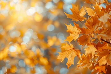 Canvas Print - Tree with yellow leaves