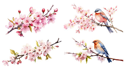 Wall Mural - cherry blossom flowers png element set on transparent background