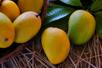 Wall Mural - Fresh Organic Ripe Mango Fruit with leaves. 