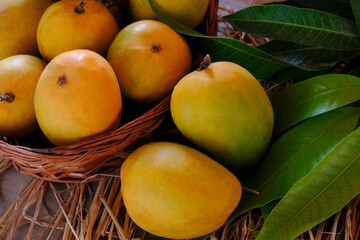 Poster - Fresh mango fruit, Mango tropical fruit with green leaf, Ripe mango in grass closeup.