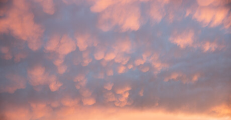 Wall Mural - weather phenomenon with bag-shaped mammatus clouds. sky background at sunset