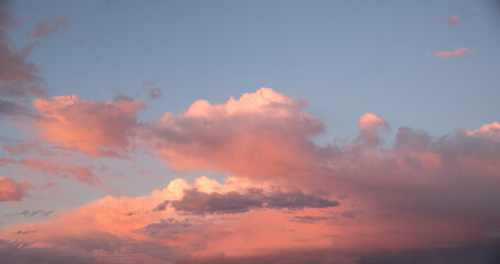Wall Mural - panorama sunset sky, pink cumulus clouds in the lower half. blue sky above