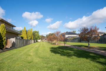 Wall Mural - A public green grass lawn with a pedestrian walkway or footpath in a residential neighborhood with some houses. Background texture a vacant land lot in a suburb with two-story homes. 