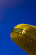 © fStop - Extreme close up of a gold microphone