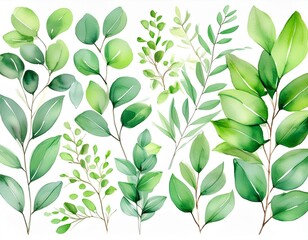Wall Mural - Watercolor floral illustration set - green leaf branches collection, for wedding stationary, greetings, wallpapers, fashion, background. Eucalyptus, olive, green leaves