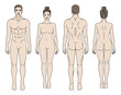 © Marina Storm - Man and Woman body front and back view vector illustration. Isolated outline line contour template human body different gender without clothes. Anatomy of healthy male and female body shapes. Figure